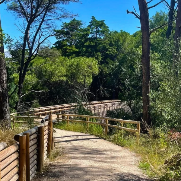 ADIADO - 91.º aniversário do Parque Florestal de Monsanto